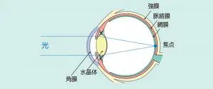 屈折異常 | 大宮いけだ眼科